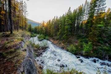 Mountain Steam at Springtime Melt