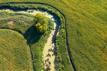 banks of a swampy river, view from above