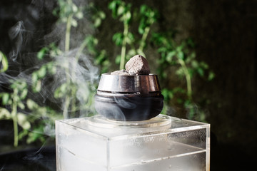  hookah with coal and tobacco on a black background and plants. harm from hookah to plants and human health