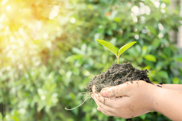 The growth of the business sector concept.