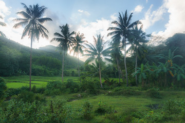 Fototapeta na wymiar Philippines. Beautiful landscapes of the islands.