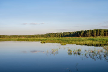 Summer desert landscape with swampy terrain and pine forest in the distance. Background