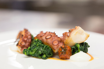 Close up on a dish with gourmet octopus salad