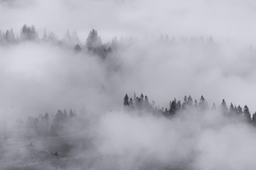 Landscape - Silhouette of foggy forest in mountains valley