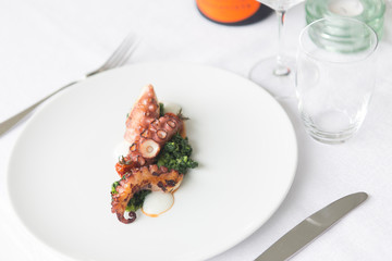 Close up on a dish with gourmet octopus salad