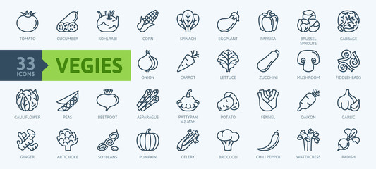 Vegetarian, vegetable, veggies - minimal thin line web icon set. Included the simple vector icons as tomato, cucumber, kohlrabi, cauliflower, pattypan squash, fiddleheads,daikon. Outline icons collect - 288001419