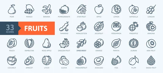 Fotobehang Fruits, exotic fruits, vegetarian - minimal thin line web icon set. Included the simple vector icons as mango, durian, rambutan, guava, tamarind, jackfruit. Outline icons collection.  © Happy Art