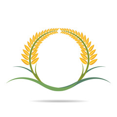 Obraz premium wheat on white and text, agricultural vector illustration