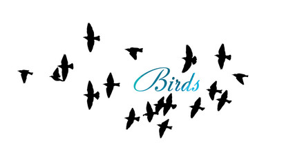 Obraz na płótnie Canvas A flock of flying birds. Vector illustration