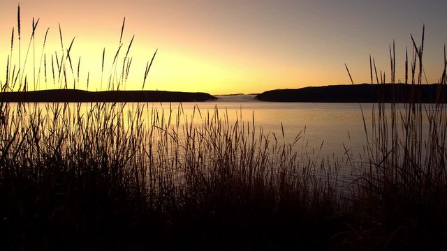 Panning view of lake looking through grass moving in slow motion during sunrise.