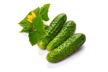 Fresh juicy cucumbers with leaf, isolated on white background