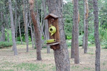 Homemade wooden bird feeder mounted on a pine tree in a city park