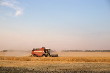 Naklejka premium a harvester on a yellow field with wheat collects a grain crop in an autumn day