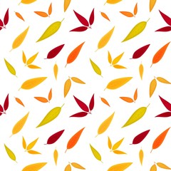 Autumn leaves seamless pattern. Colorful leaves and sprigs pattern on white background. Can be used for wallpaper, wrapping, textile, fabric design