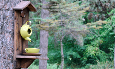 Homemade wooden bird feeder mounted on a pine tree in a city park