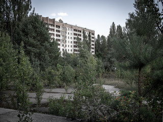 Fototapeta na wymiar Ruins of an abandoned residential block among new grown trees in Pripyat city, Chernobyl Exclusion Zone, Ukraine