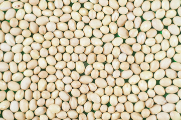 Small white beans of Nevi variety close-up. Macro shot.