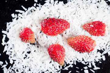 Bright red strawberries in coconut flakes on a dark background