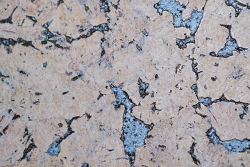 cork texture. cork background. texture of cork board wood surface