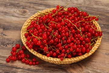 Sweet tasty fresh Red currant