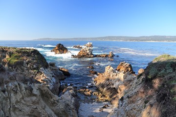 Point Lobos, California. American landscape.