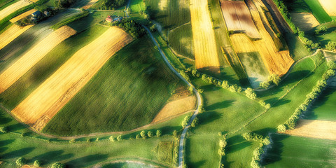 Drone aerial view - fields on the morning
