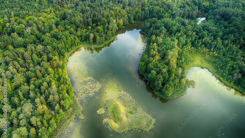 Wall mural aerial landscape from the drone- lake shore