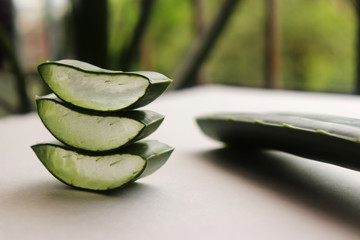 Aloe Vera Leaf Slice