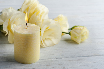 Yellow lisianthus flowers