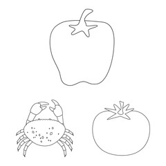 Vector design of seasonin and ingredient symbol. Set of seasonin and aroma stock symbol for web.