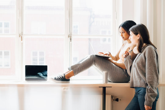 Computer programmers discussing over laptop while working by window in office