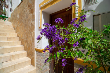 Fototapeta na wymiar Traditional courtyard in the old sity of Spain. Bright flowers and steep stairs.