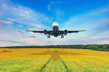 Landing of the passenger plane to the meadow.