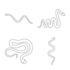 Vector illustration of poison and evil symbol. Collection of poison and bite vector icon for stock.