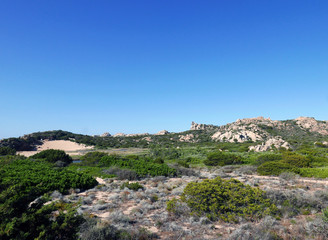 vista estiva dell'isola de La Maddalena in Italia, tra rocce e bassa vegetazione