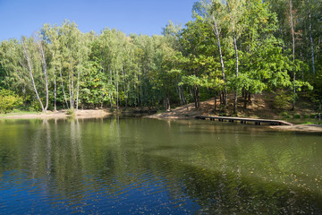 Fototapeta na wymiar Pond in the forest park.