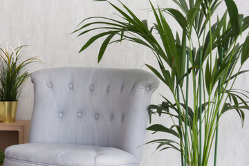 Empty gray armchair with green indoor plants nearby