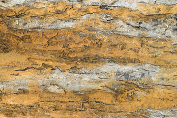 texture; background; material; old; pattern; abstract; surface; rough; textured; nature; tree; wood; brown; natural; closeup; detail; gray; wooden; bark; white; dirty; plant; backdrop; timber; design