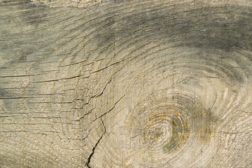 Old gray-brown natural wood background in the form of a board with cracks, knots and a rough surface