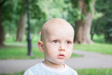 portrait of cute little boy sitting on the grass