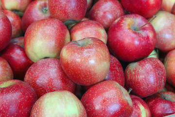 Selected apples at the farmer's market