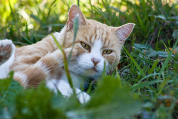 Near the Village of Malakhovo_50