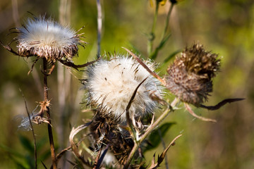 Near the Village of Malakhovo_56