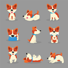Cute corgi dogs color vector illustrations set