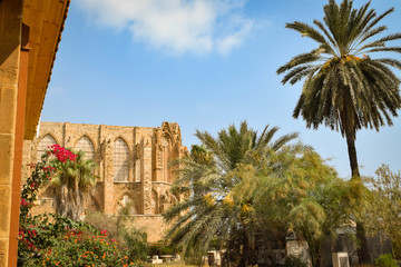 Fototapeta na wymiar Paradise palm garden, Cyprus, Famagusta