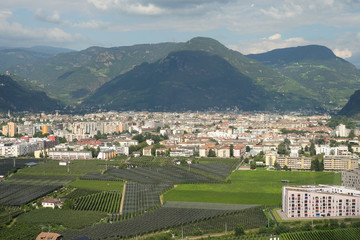 Fototapeta na wymiar Bolzano, beautiful City in South Tyrol. Bozen is the capital of Südtirol and is a Alpine City. High Rise Buildings and Field in the foreground