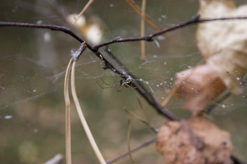 Near the Village of Malakhovo_74