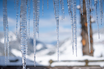 Icicles in Winter, frozen water, with Tree Trunk in the Background out of focus