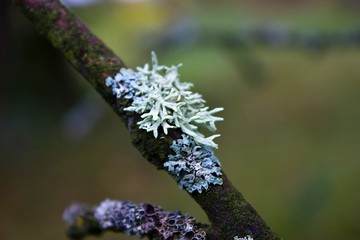 Near the Village of Malakhovo_81