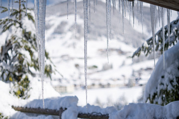Icicles with Snowed in Background, small tree on the left out of focus. Cold, winter Landscape